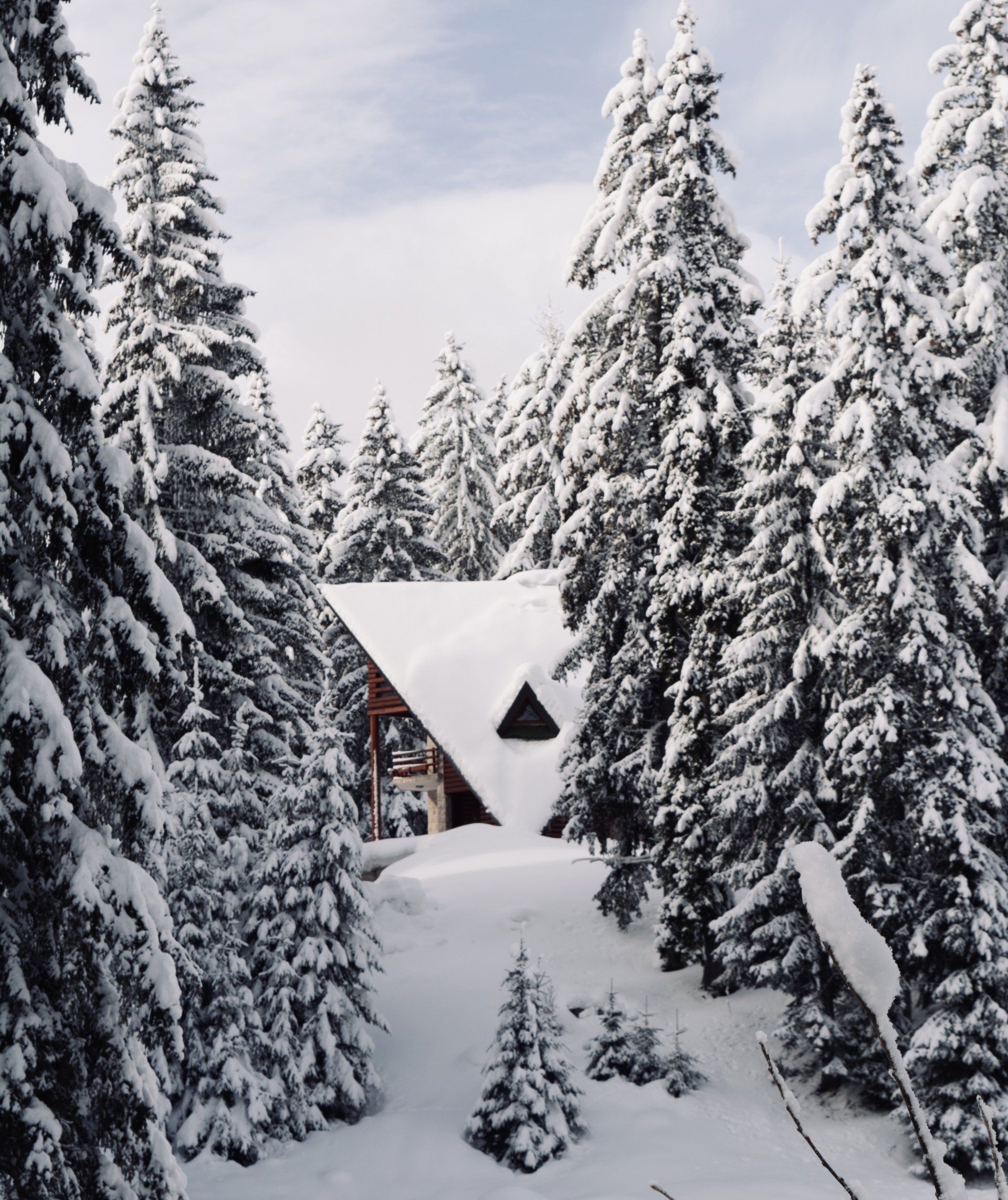 A house in the middle of a snowy forest