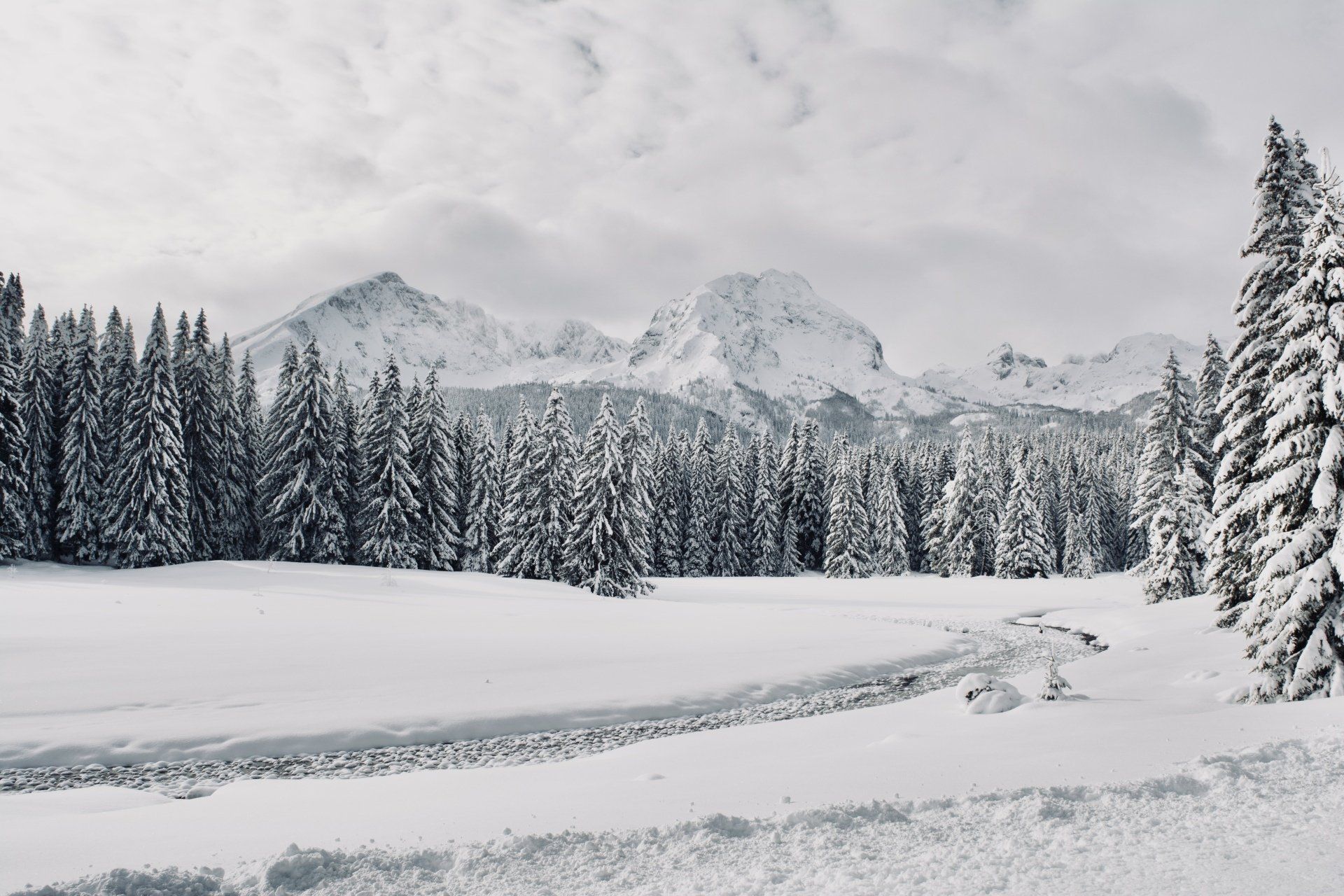 A snowy field with trees and mountains in the background