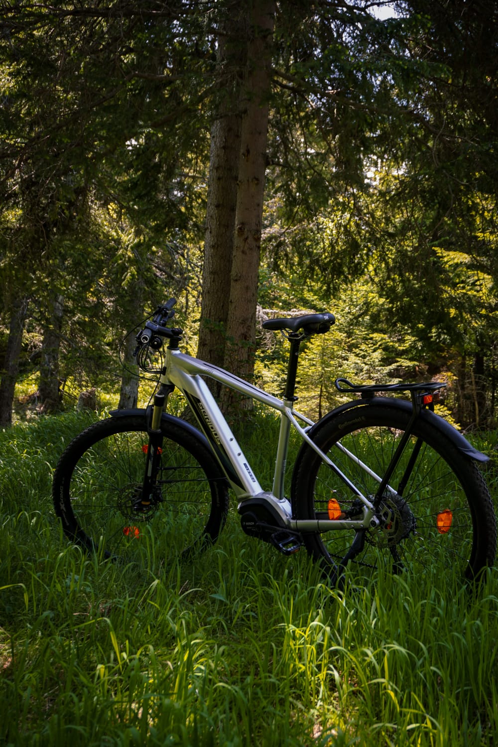 Silver mountain bike in a forest clearing with tall trees and green grass.