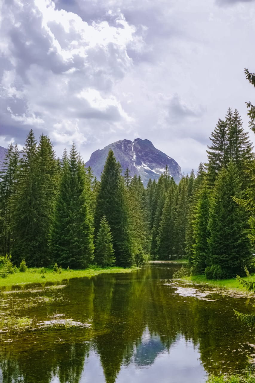 A lake surrounded by trees with a mountain in the background