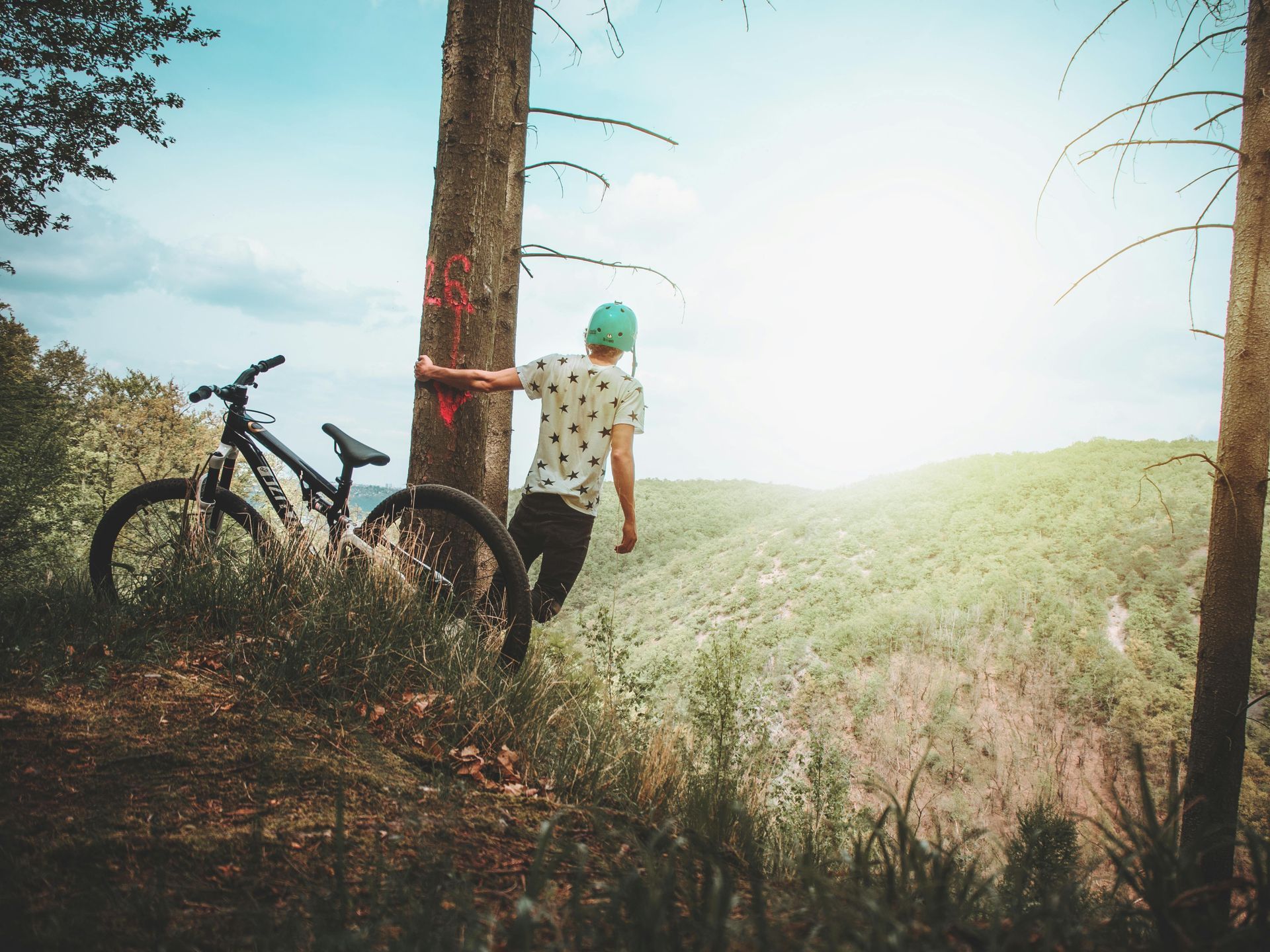 A person is leaning against a tree next to a bicycle.