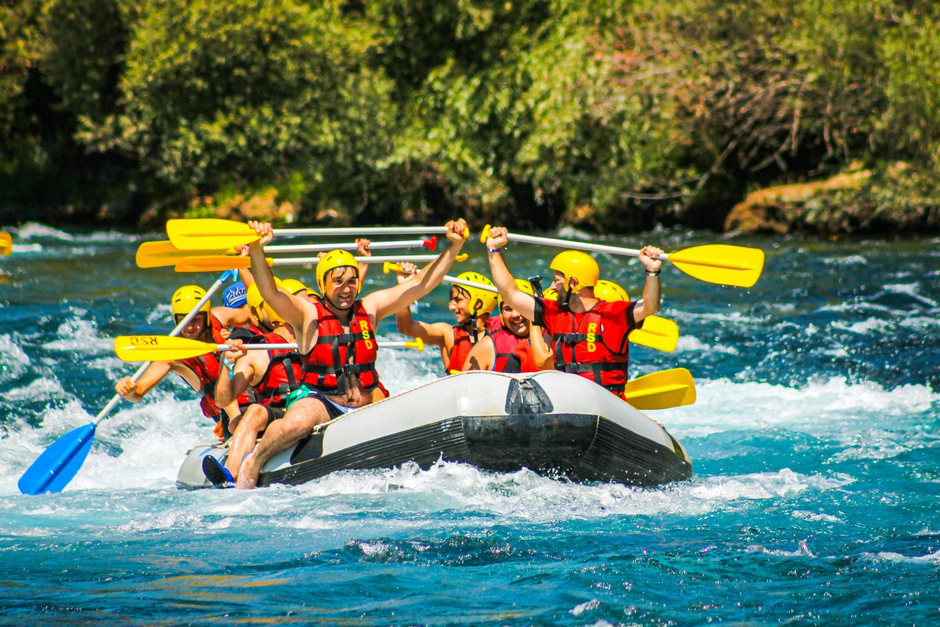 Group of people rafting down a river, raising paddles in excitement.