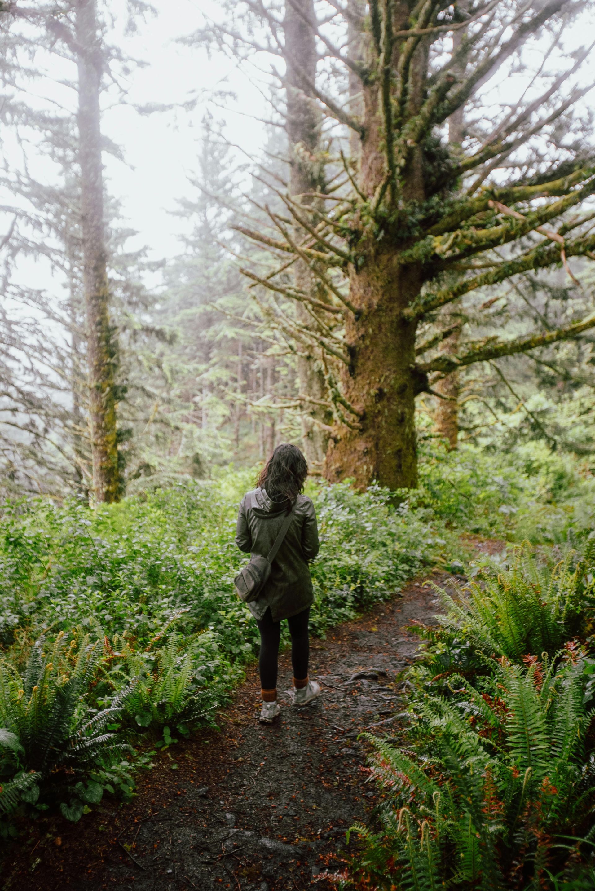 A woman is standing on a path in the woods.