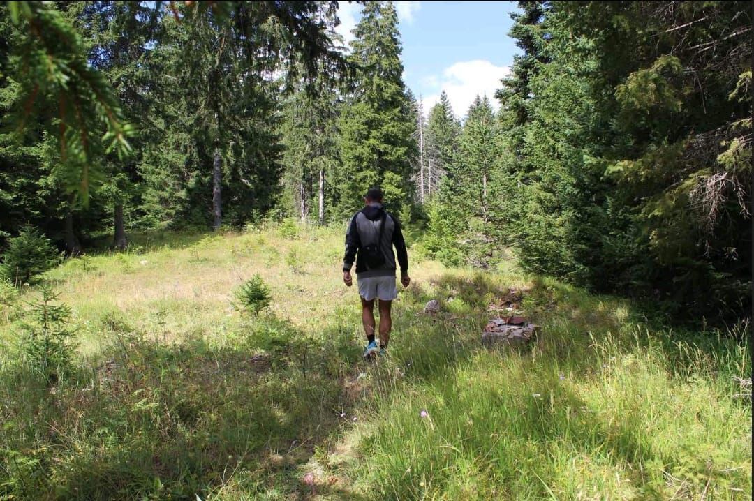 Person with backpack walking on a grassy path through a forest.