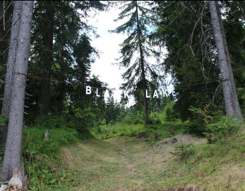 A path through a forest clearing, trees on both sides, text 
