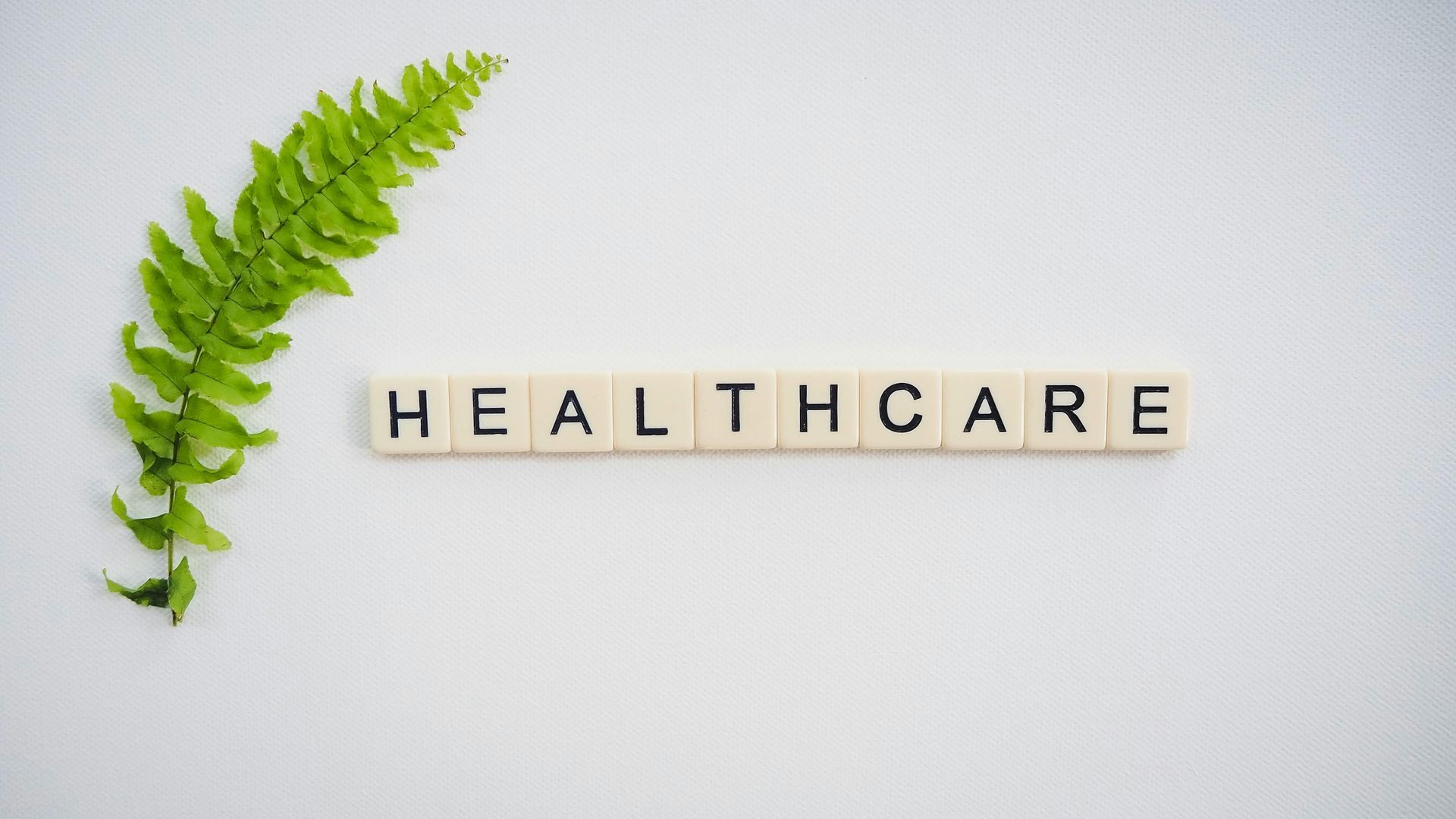 "Healthcare" spelled out with tile letters, with a green fern beside it on white background.