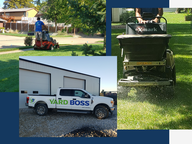 Professional Lawn Care & Pest Control Services