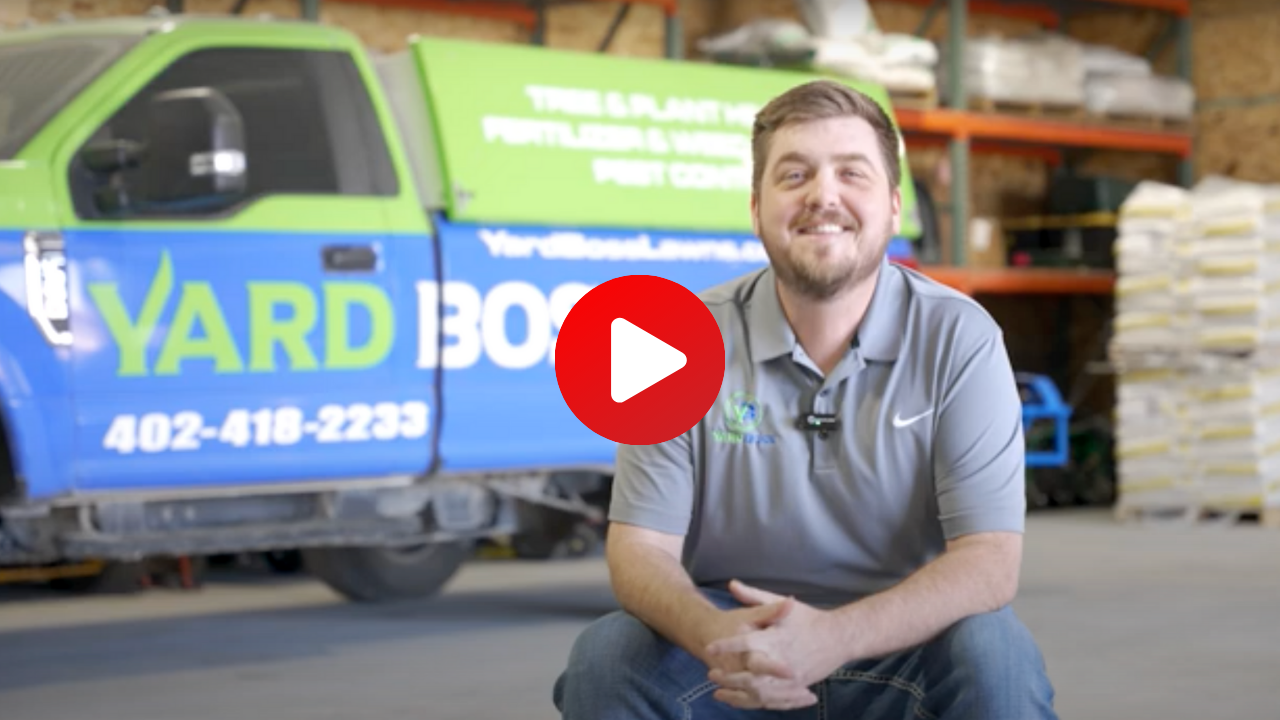 Gallery Detail: Lawn Weed Control Service