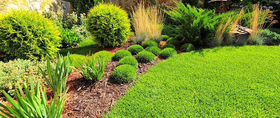 Professional Landscaping In Wilber, NE