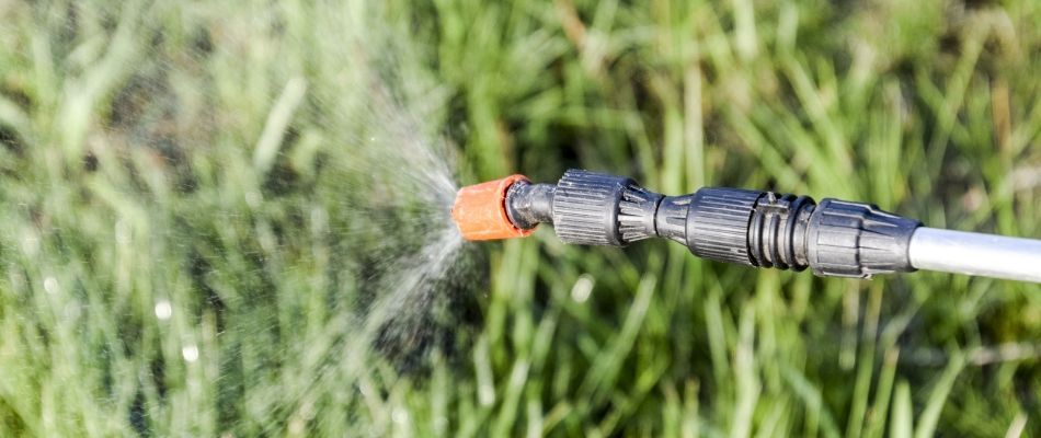 Weed Control & Spraying Service