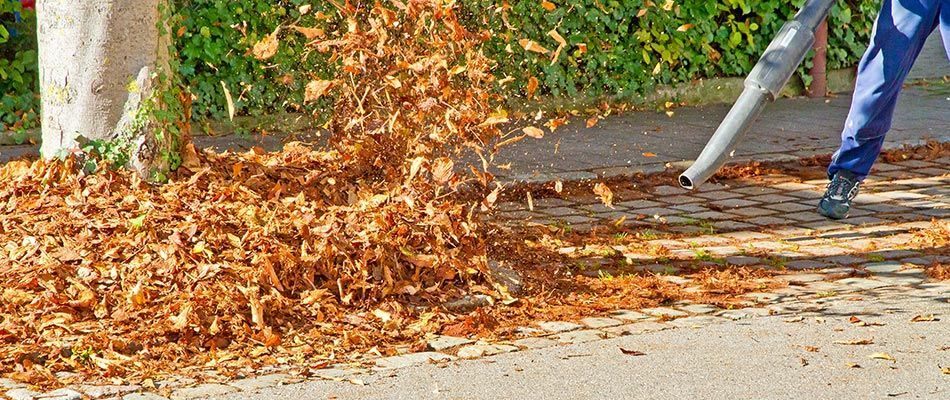 Fall Leaf Removal Service In Lincoln, NE