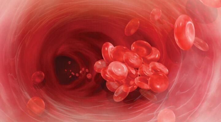 DR. F. DAVID CORRALES SÁNCHEZ