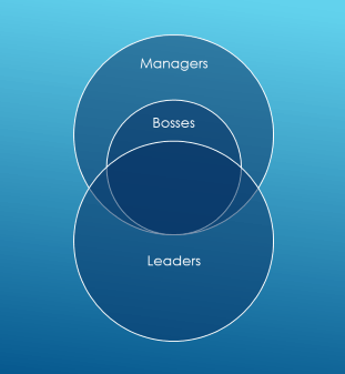 Manager Boss Leader Venn Diagram