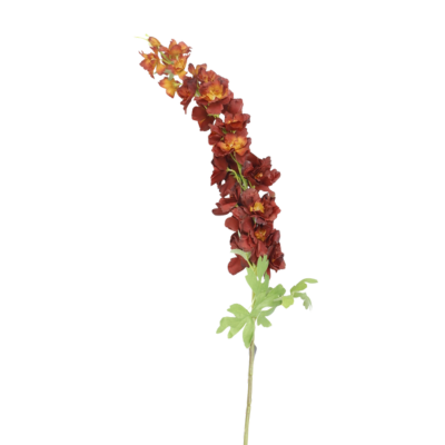 Delphinium tak – Dieprood