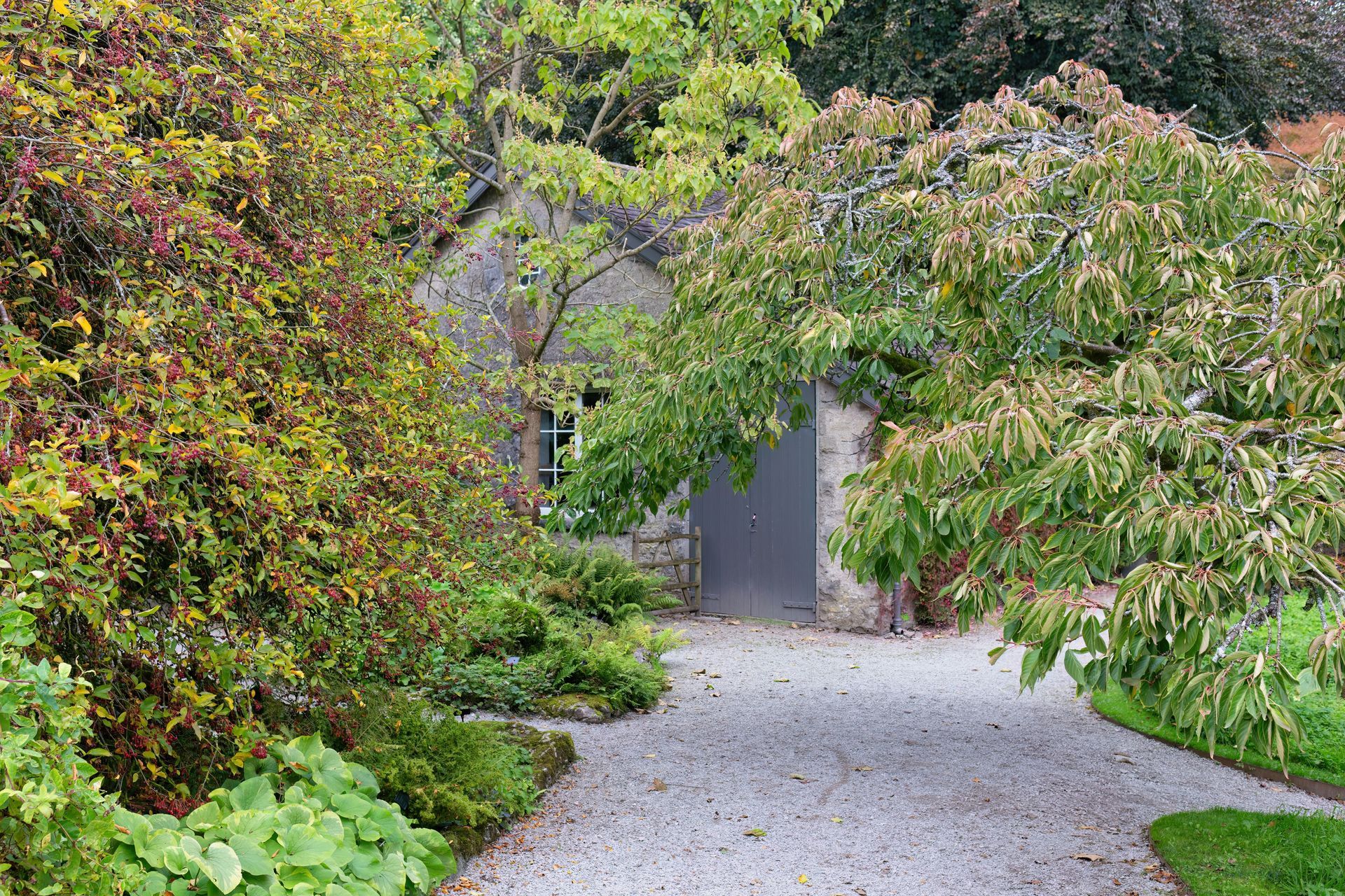 Gravel path leads to stone doorway, flanked by green foliage and a yellowing bush. Overcast sky.