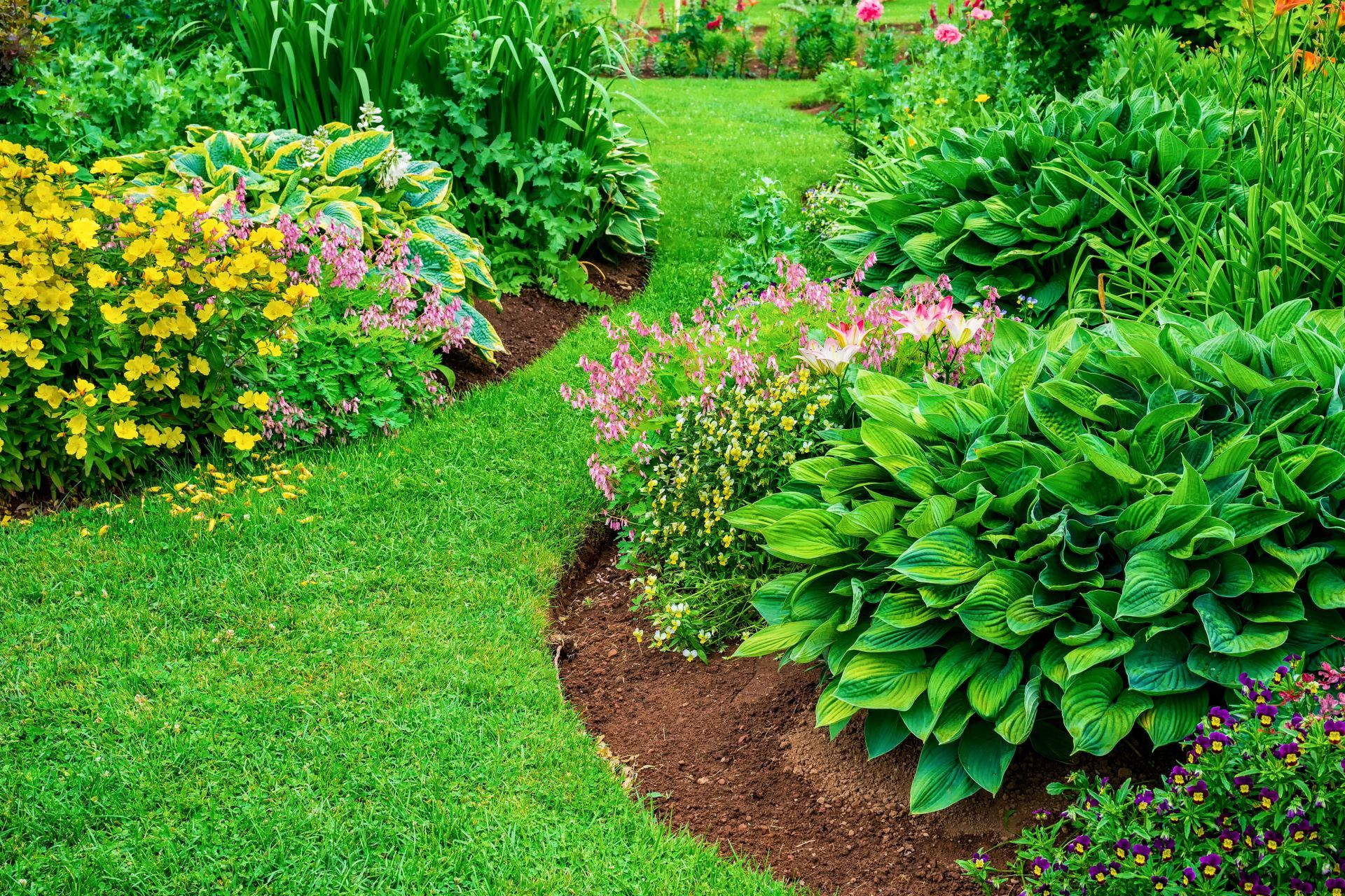 Lush green garden with a winding grassy path surrounded by colorful flowers and plants.