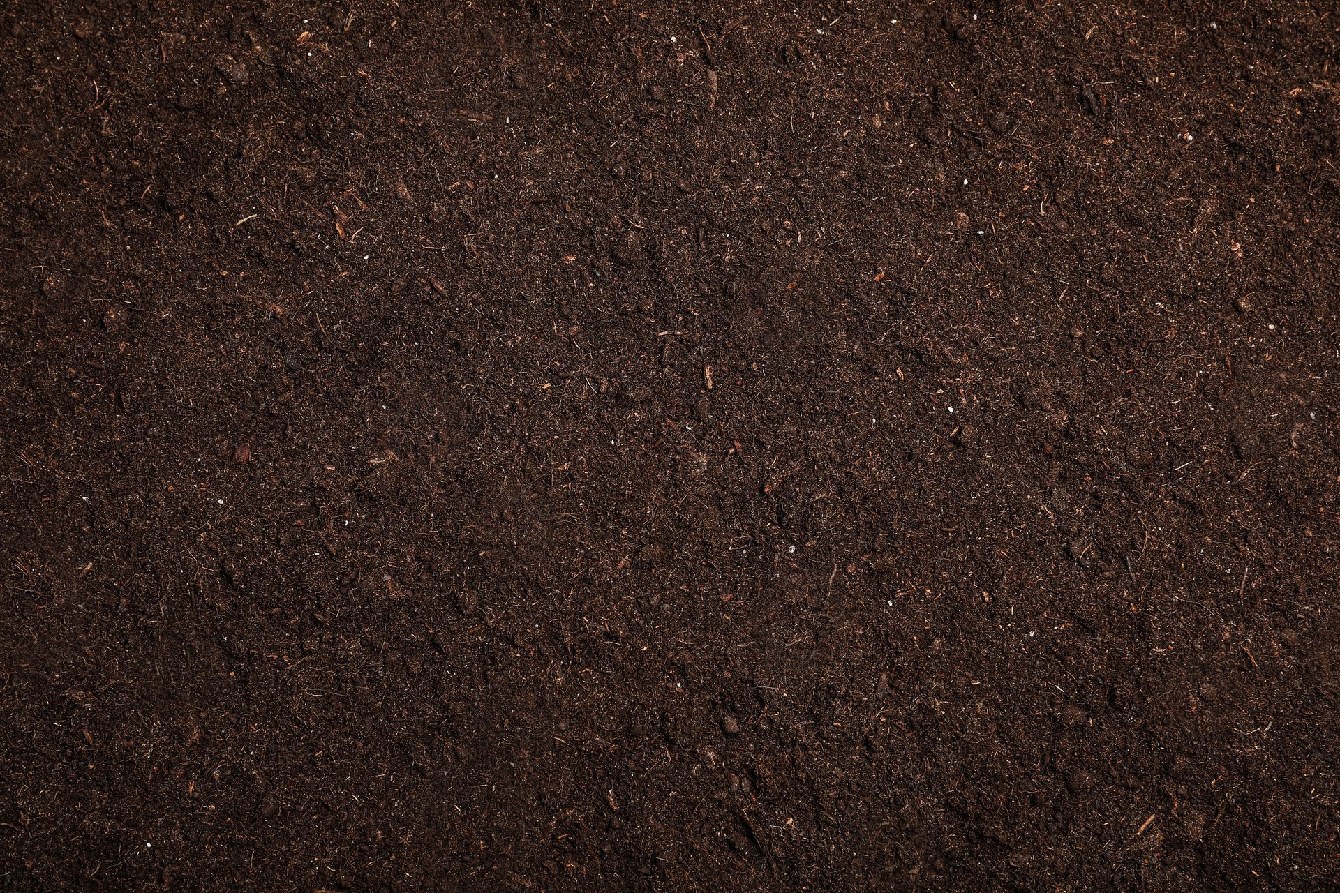 Close-up of rich, dark brown soil, with flecks of lighter material.