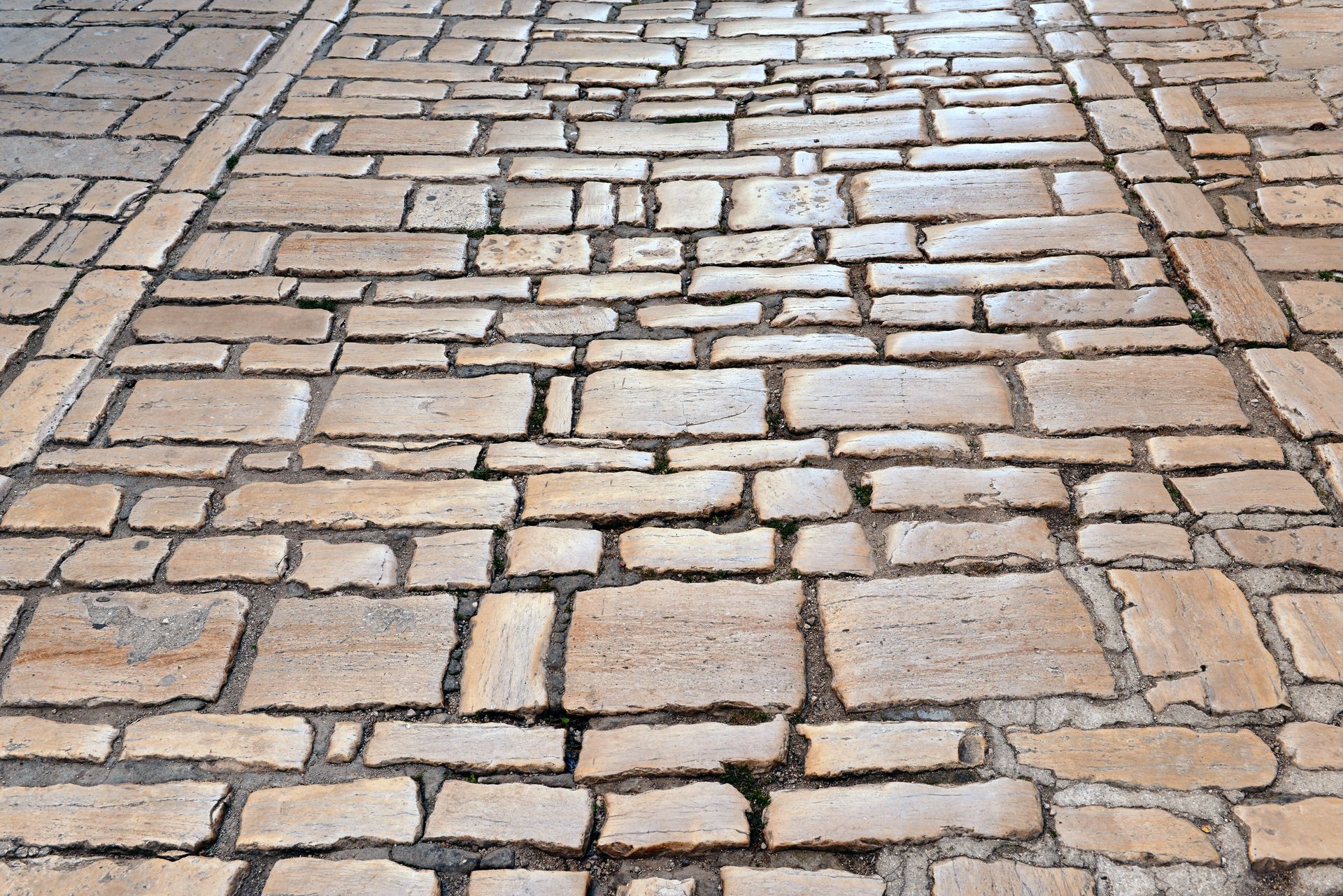 Gravel path winds through a lush green garden under a cloudy sky.