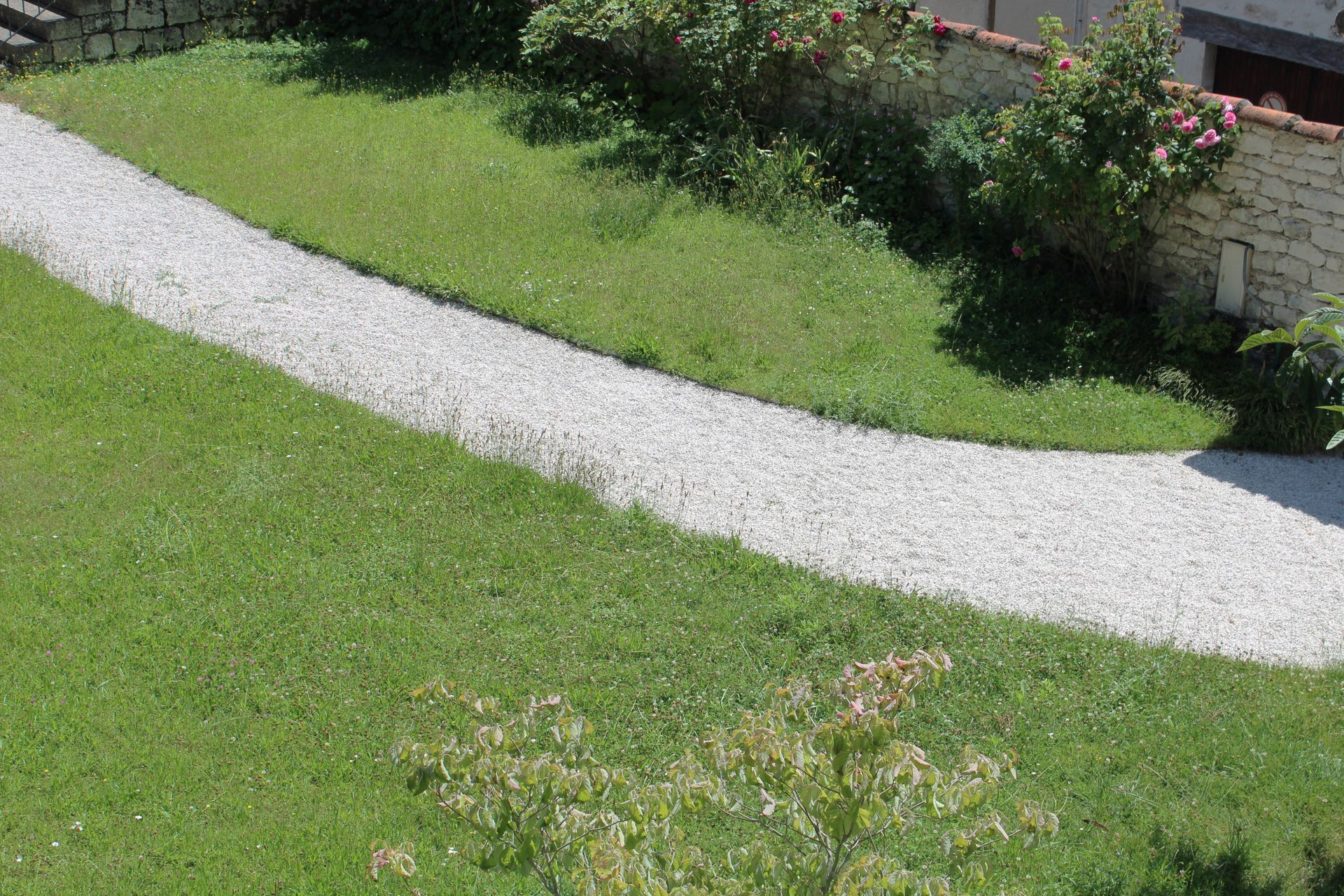 Pink and white flowers border a gravel path in a garden.