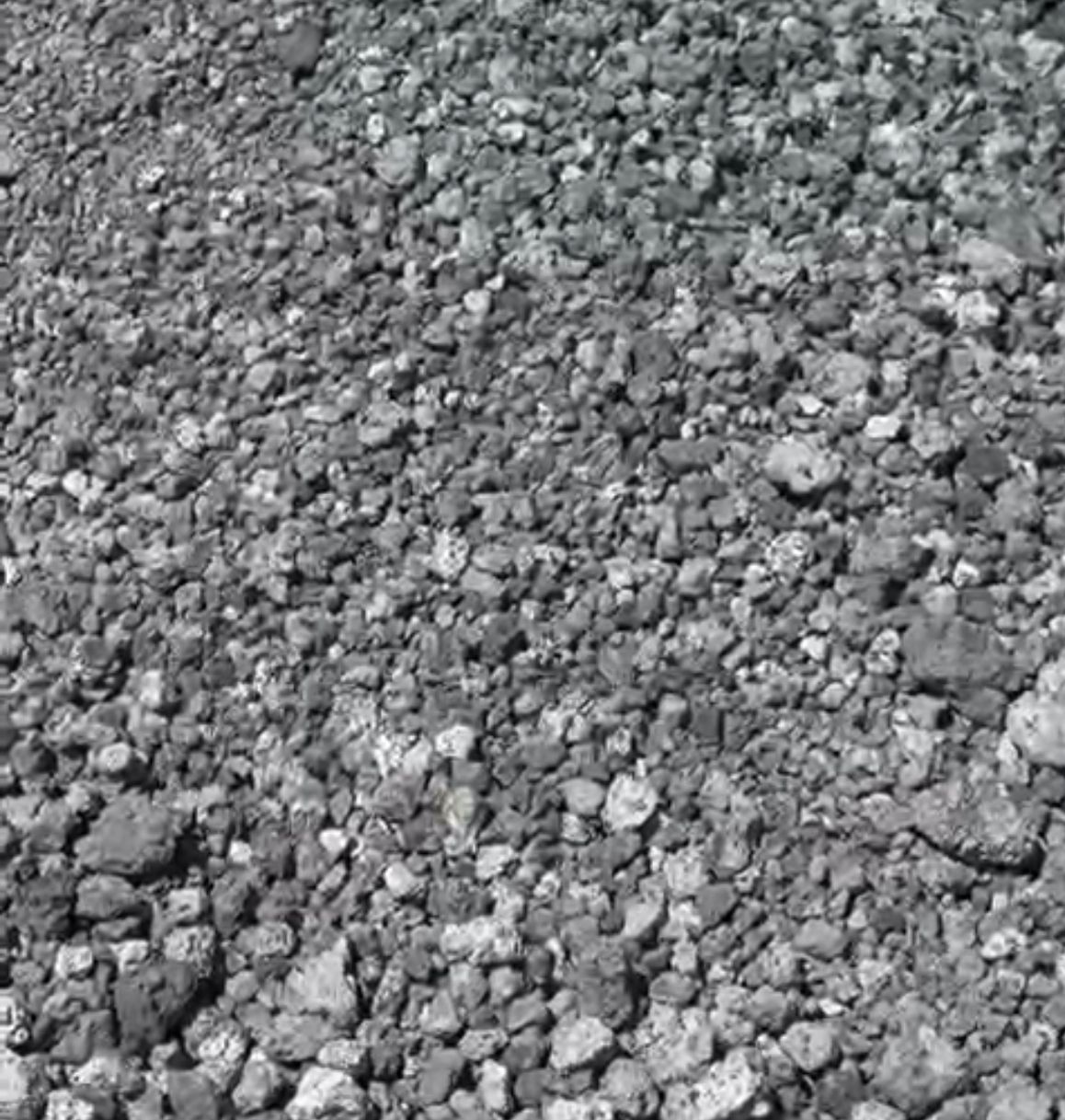 Curved brick-edged garden bed with gravel path and various green plants.