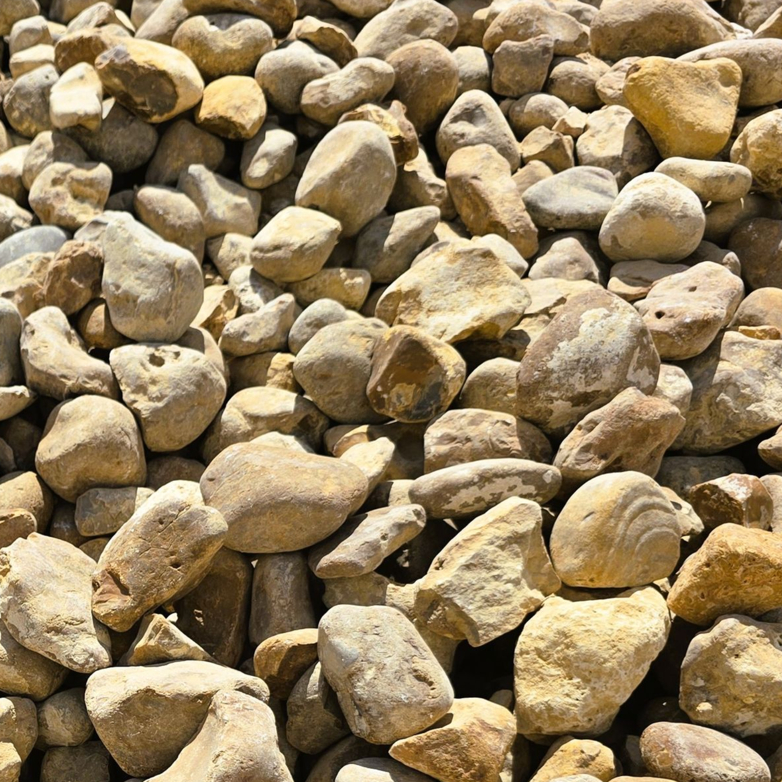 Green moss above a bed of brown and gray pebbles.