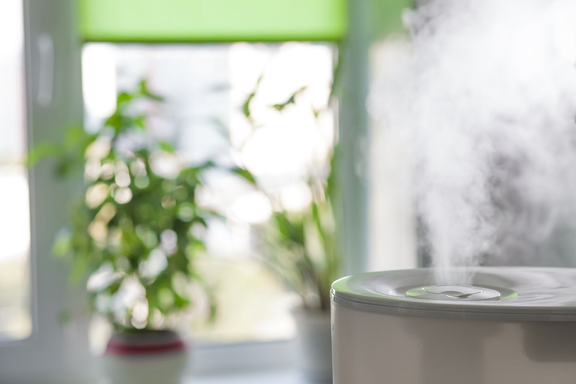A close up of a humidifier in a room with a plant in the background.