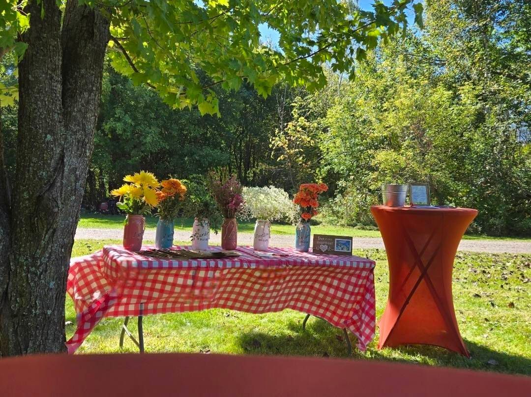 A table with colorful flowers sits under a tree, covered in a red checkered cloth. Another orange table sits to the right.