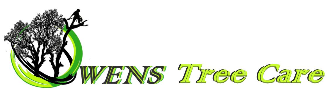 Logo: Green circle around a tree graphic, "Owens Tree Care" text.