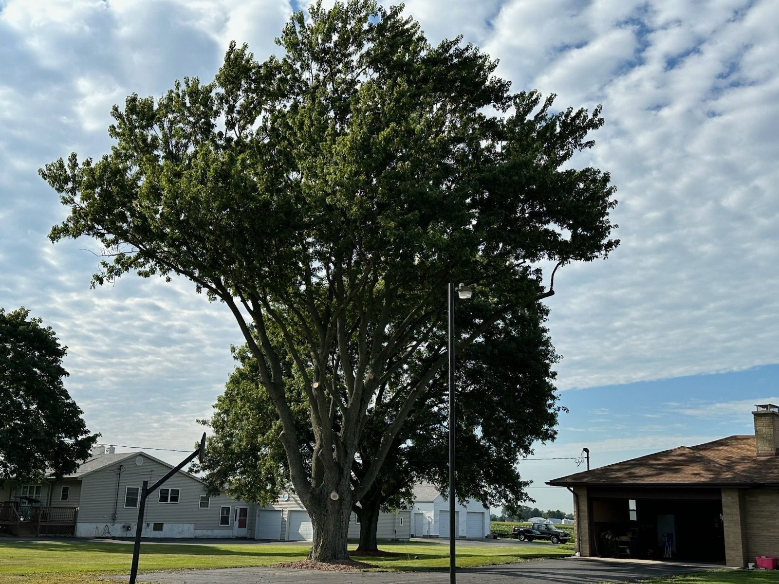 A person operating a yellow tractor-like machine loaded with branches near a house and a large truck.