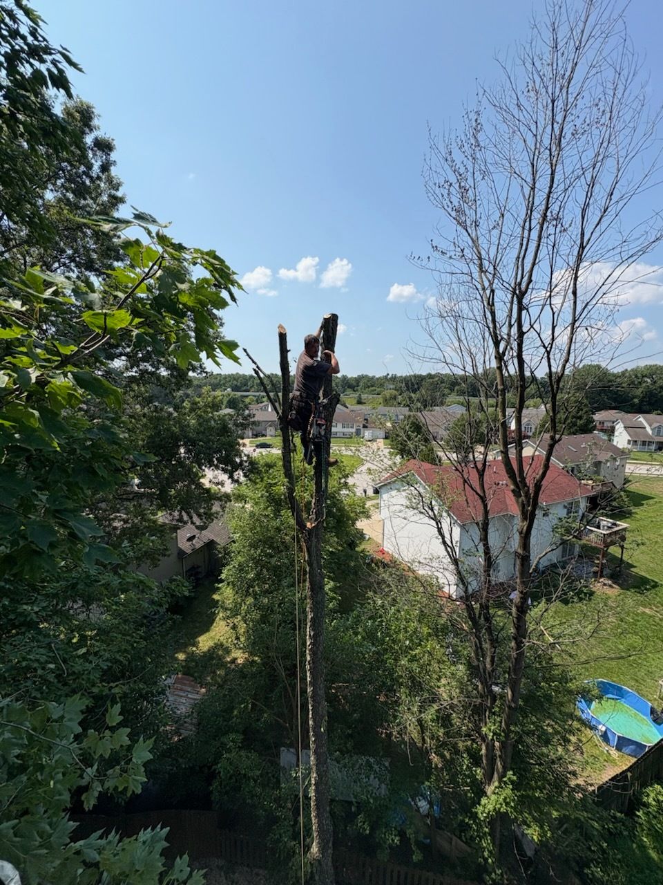 Black trailer loaded with tree branches and logs, attached to an orange tractor on a narrow paved road.