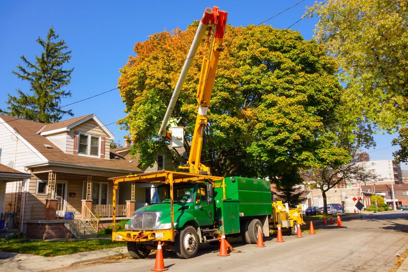 Green tree trimming truck with extended boom near a house, orange safety cones line the street.