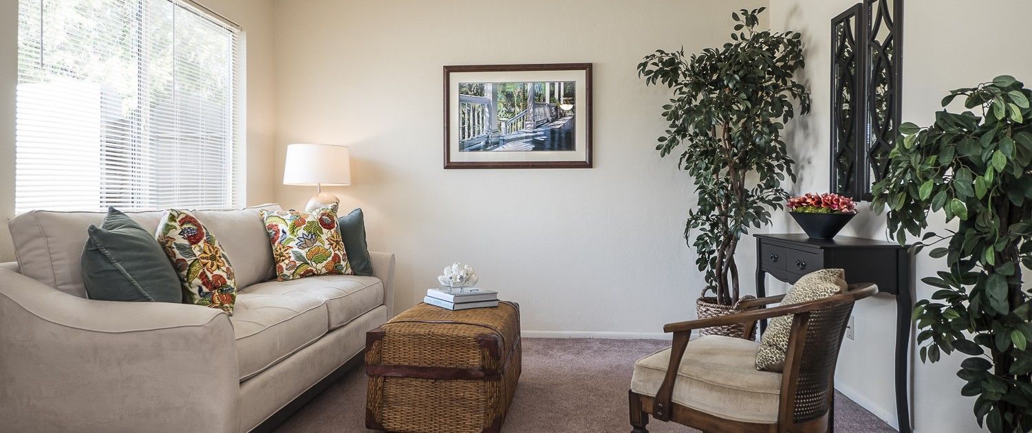 Photo of a brightly lit living room with plenty of natural lighting