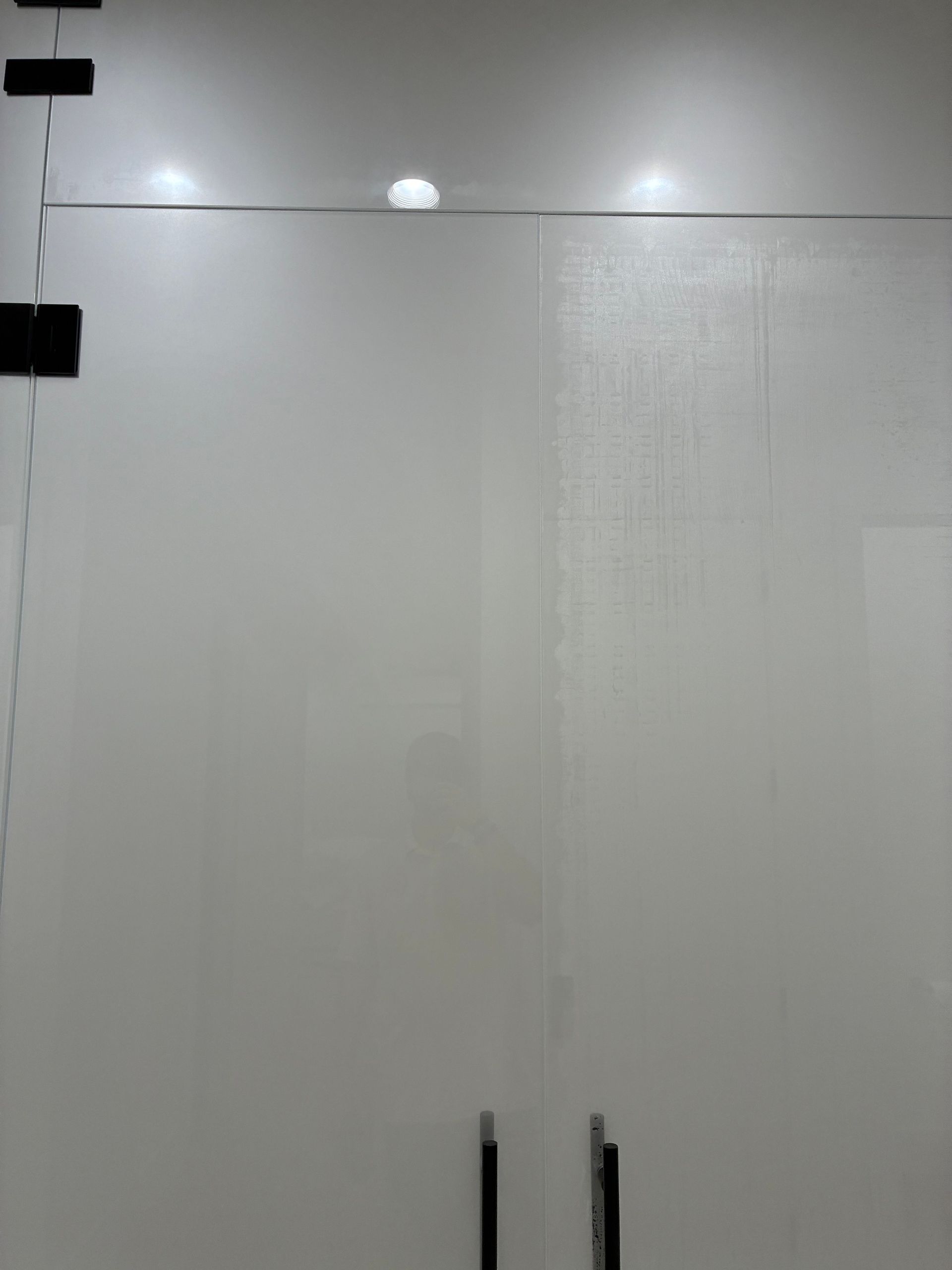 Frosted glass shower door with black hardware, lit by overhead lights.