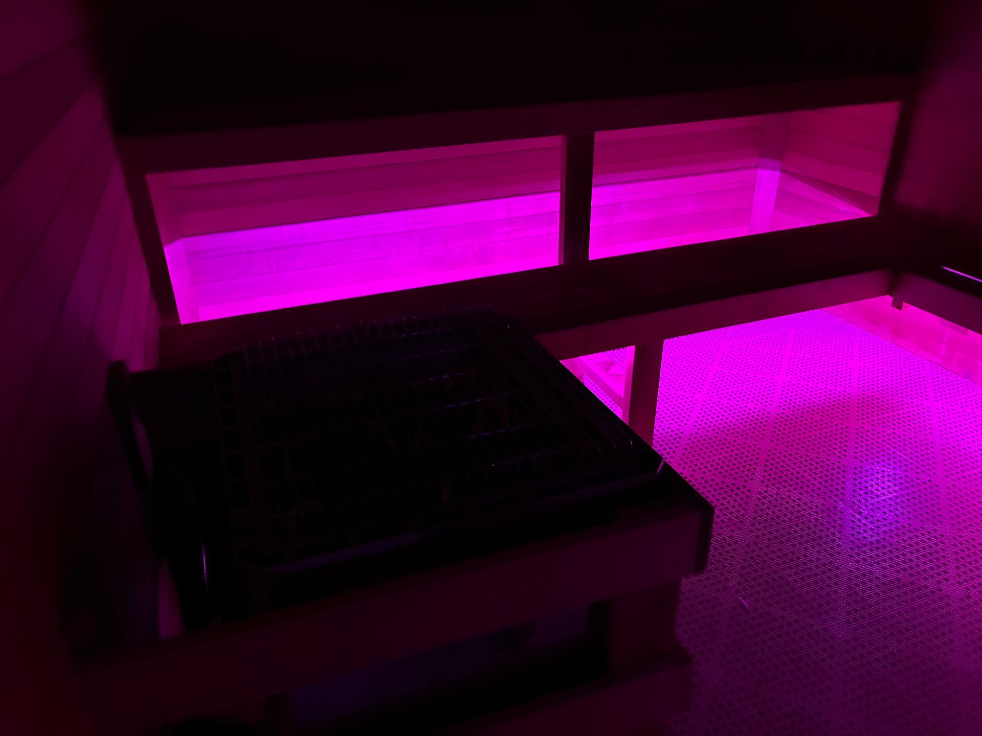 Interior of a room lit with vibrant pink LED lights. Features shelves and a small table.