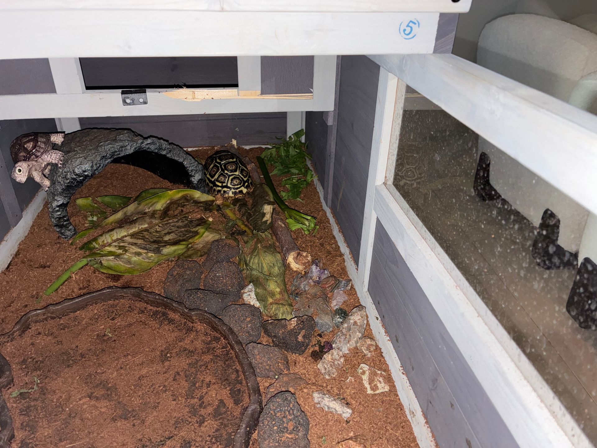 A reptile enclosure with reddish-brown substrate, decorative rocks, and a log; viewed from above.