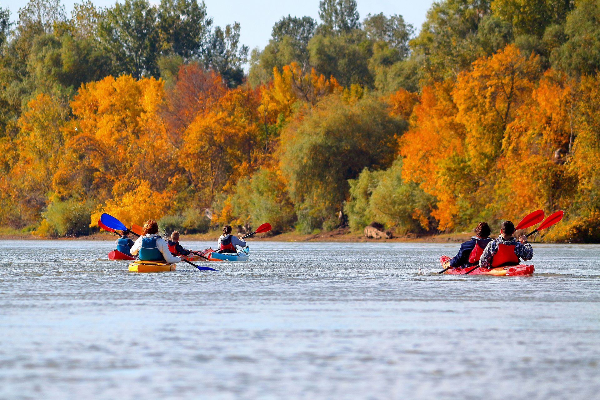 A group of people are kayaking down a river.