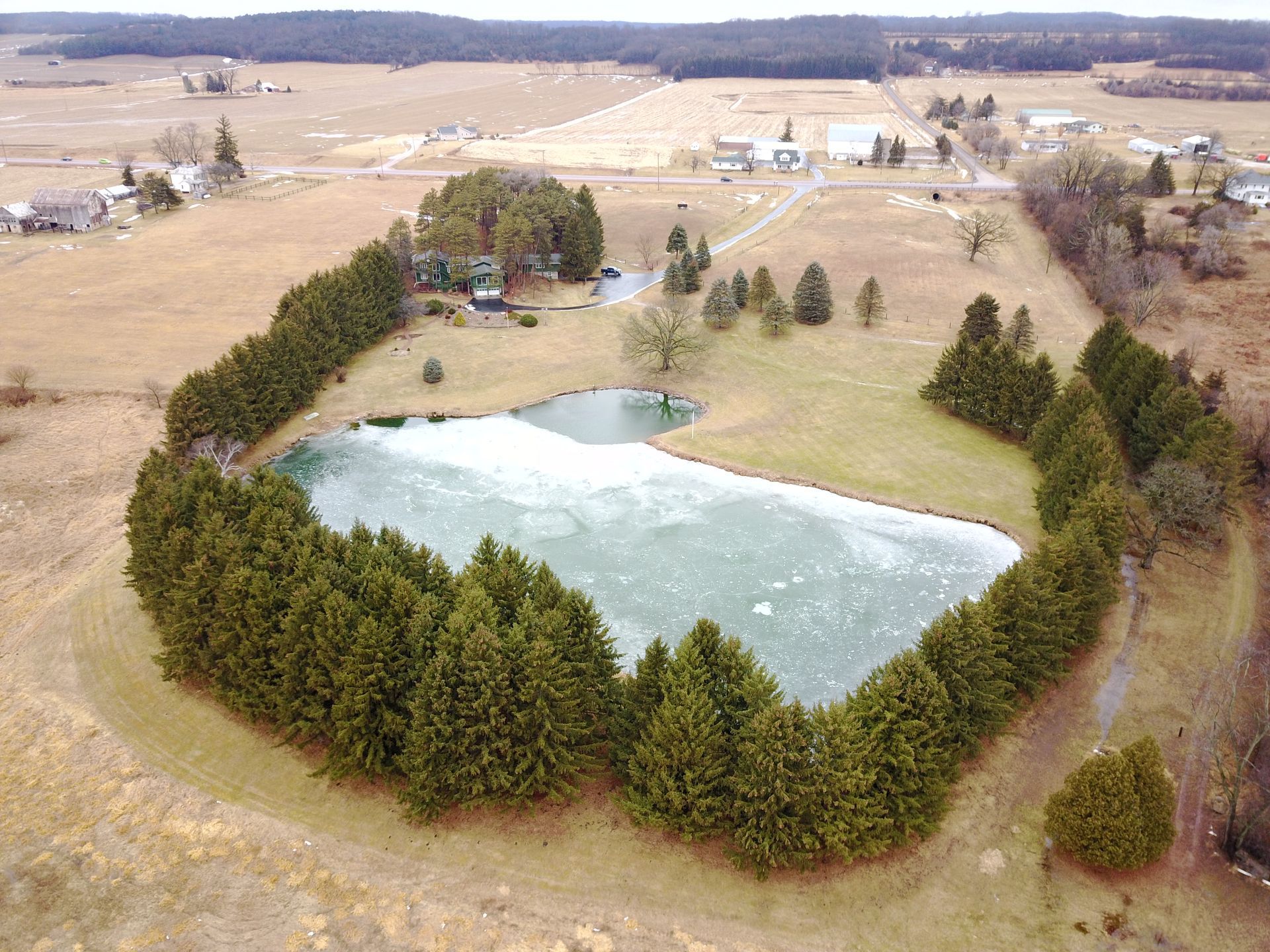 An aerial view of a pond surrounded by pine trees