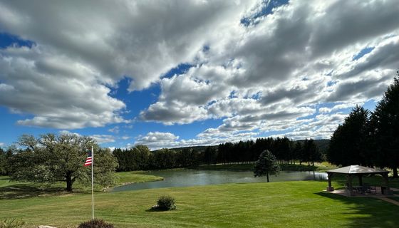 Pond view 