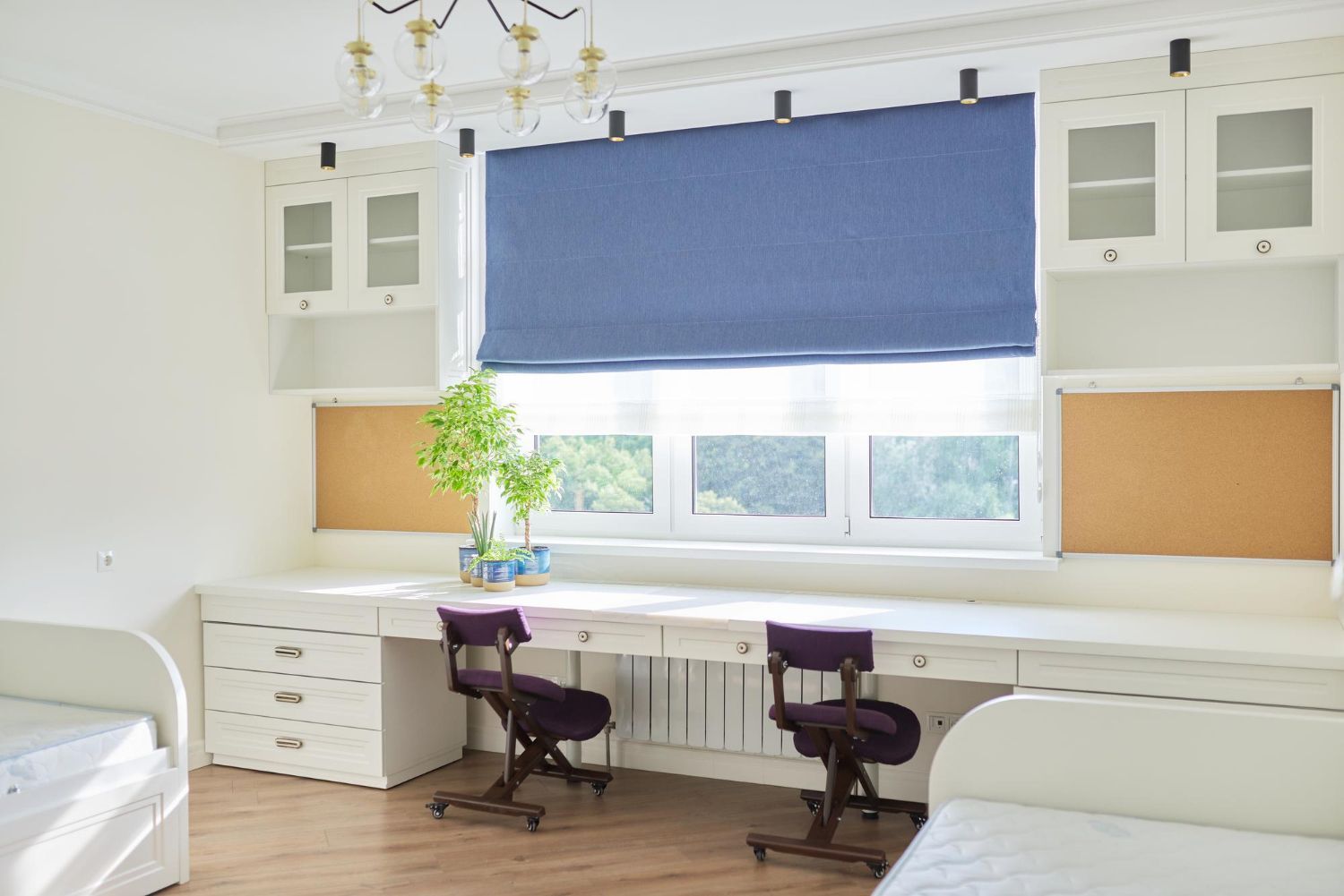 motorized blinds