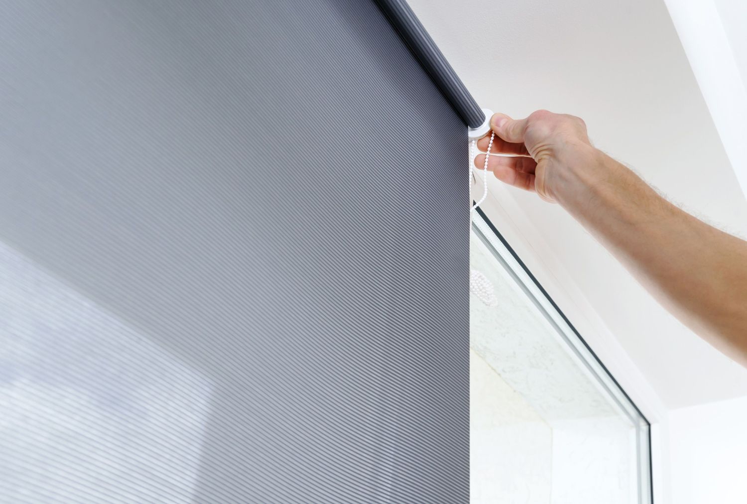 window blinds