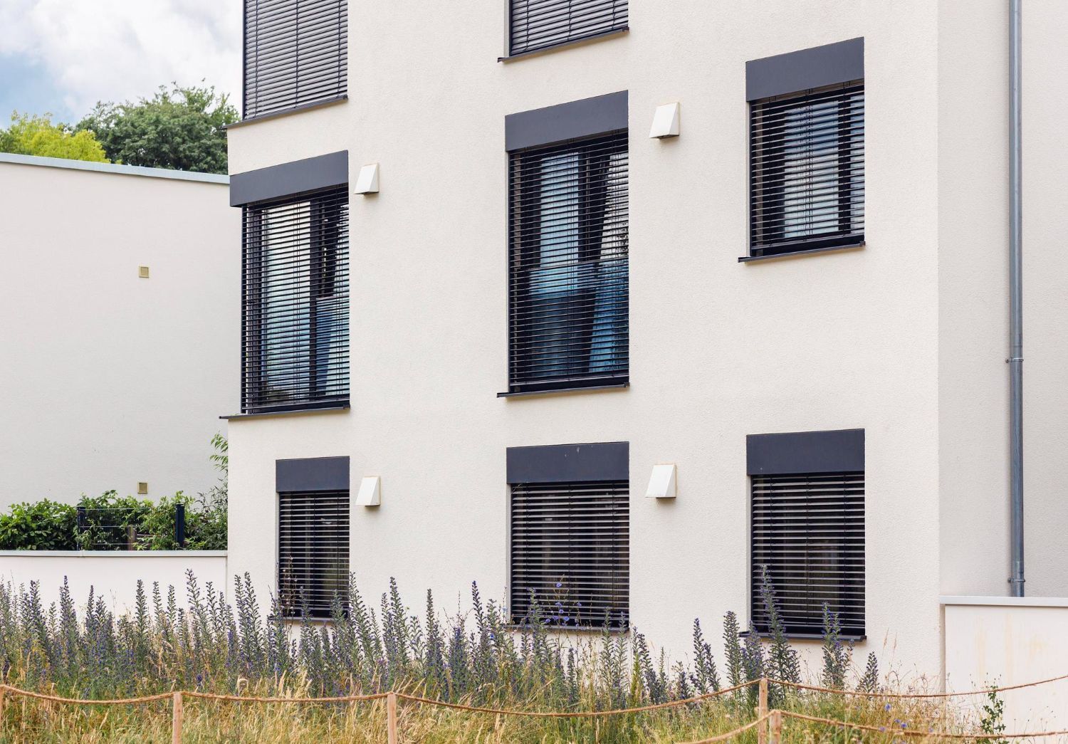 custom shutters