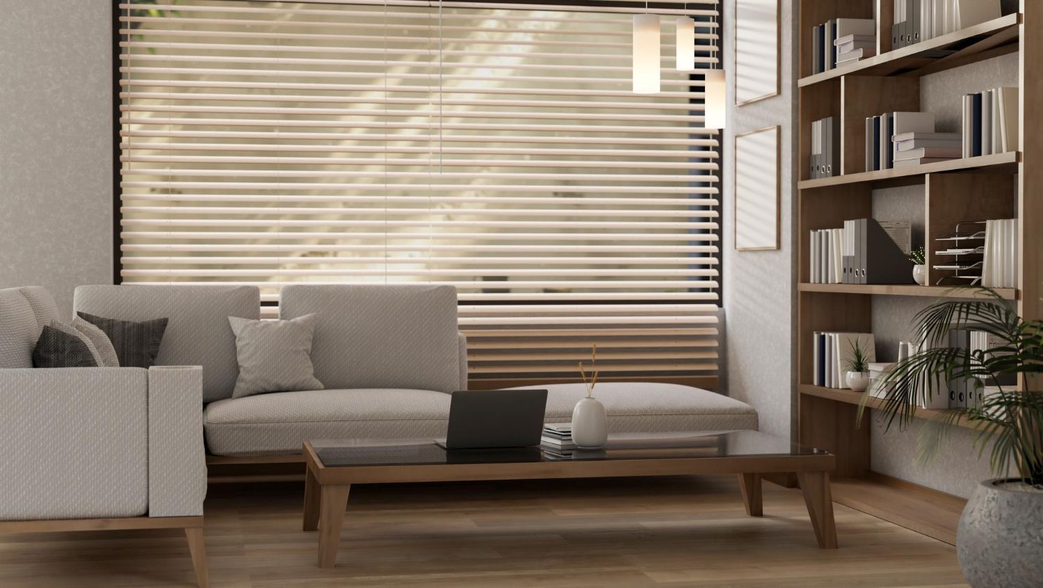 home window blinds