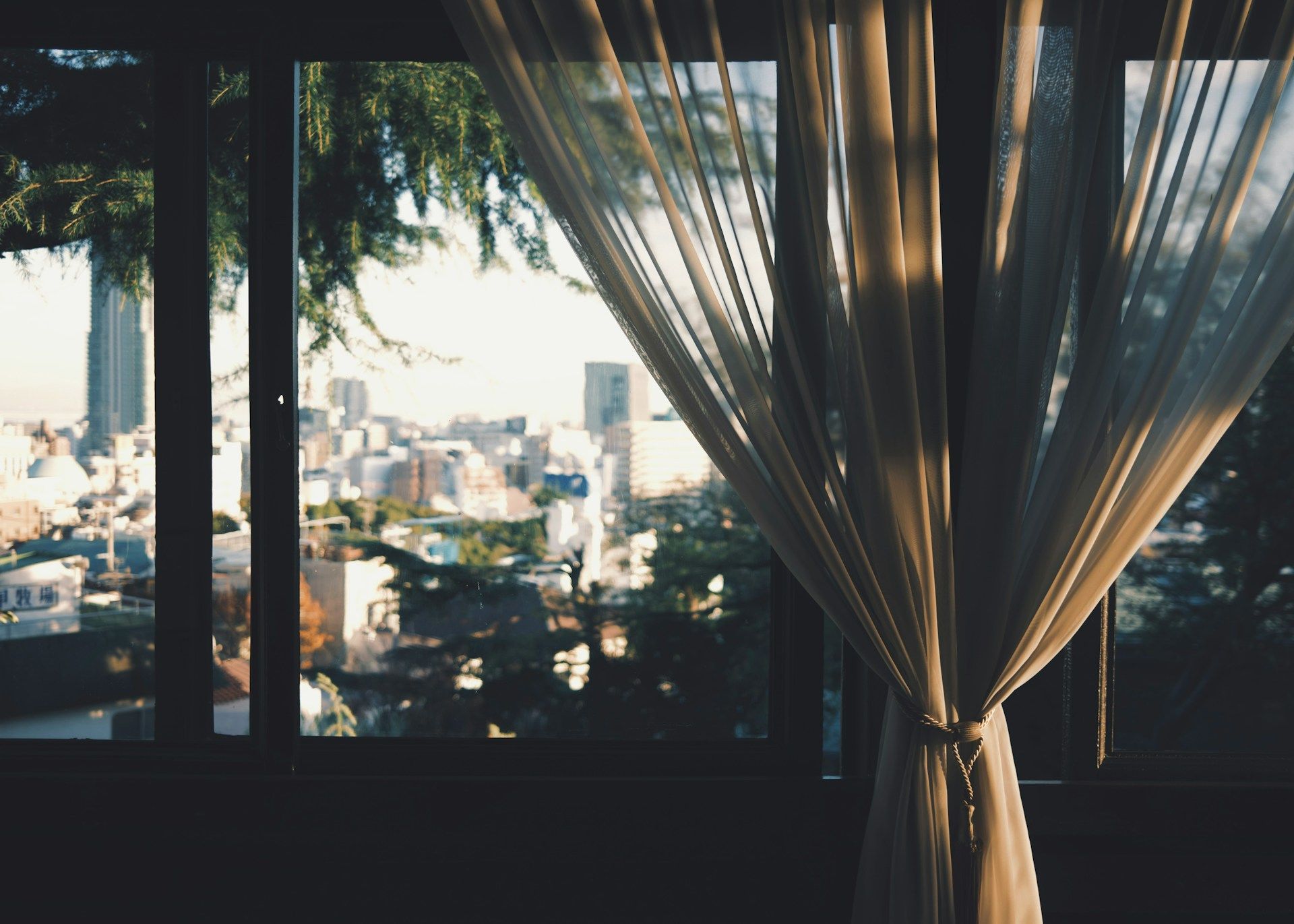 window drapes