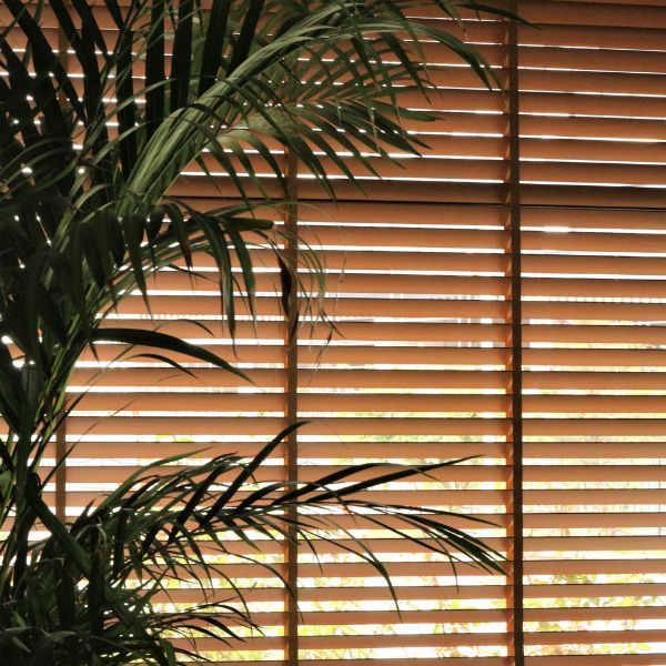 custom blinds