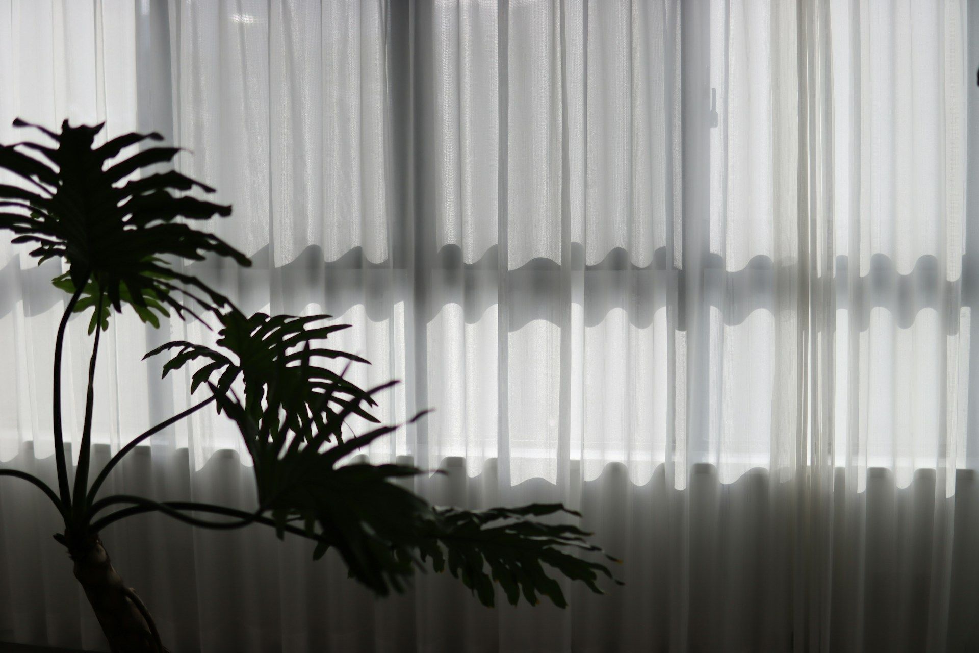 custom window blinds