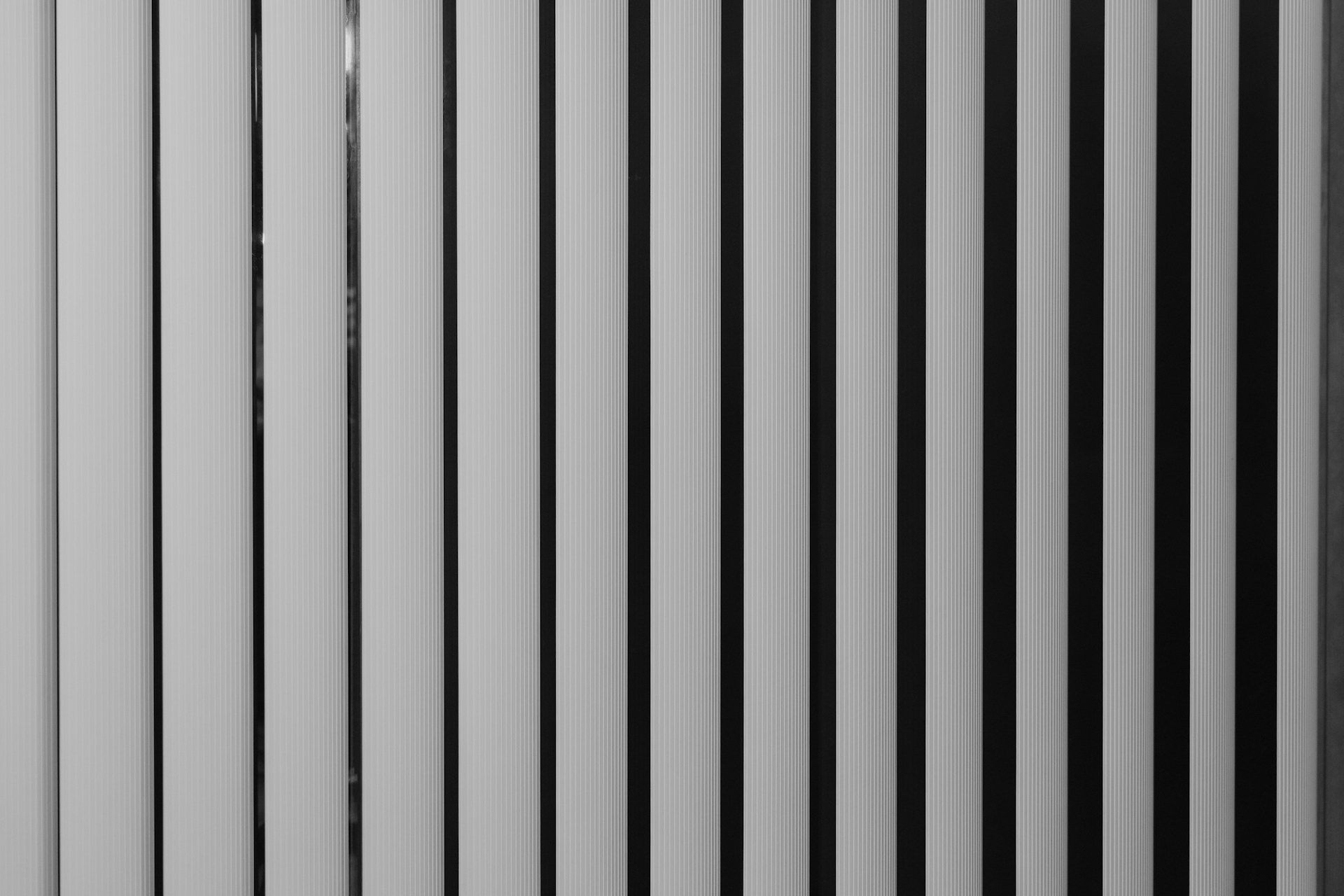 window blinds