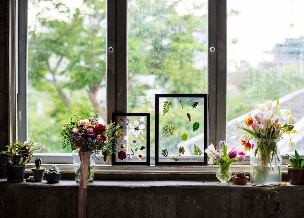 Home Window