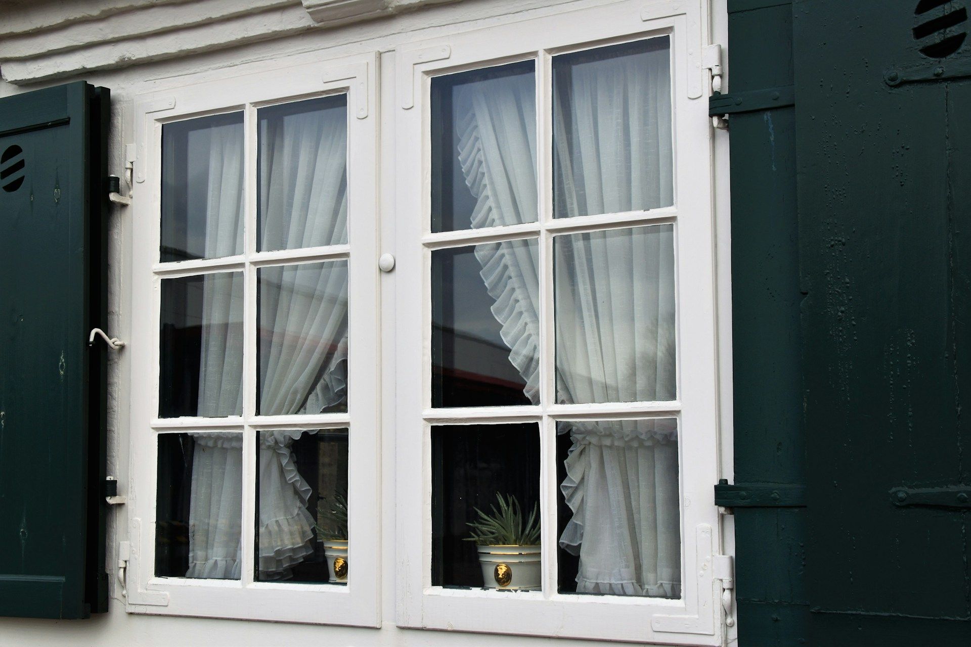window drapes