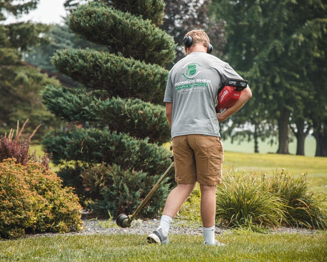 Man trimming grass, wearing a gray shirt and safety headphones, near a spiral topiary and lawn.