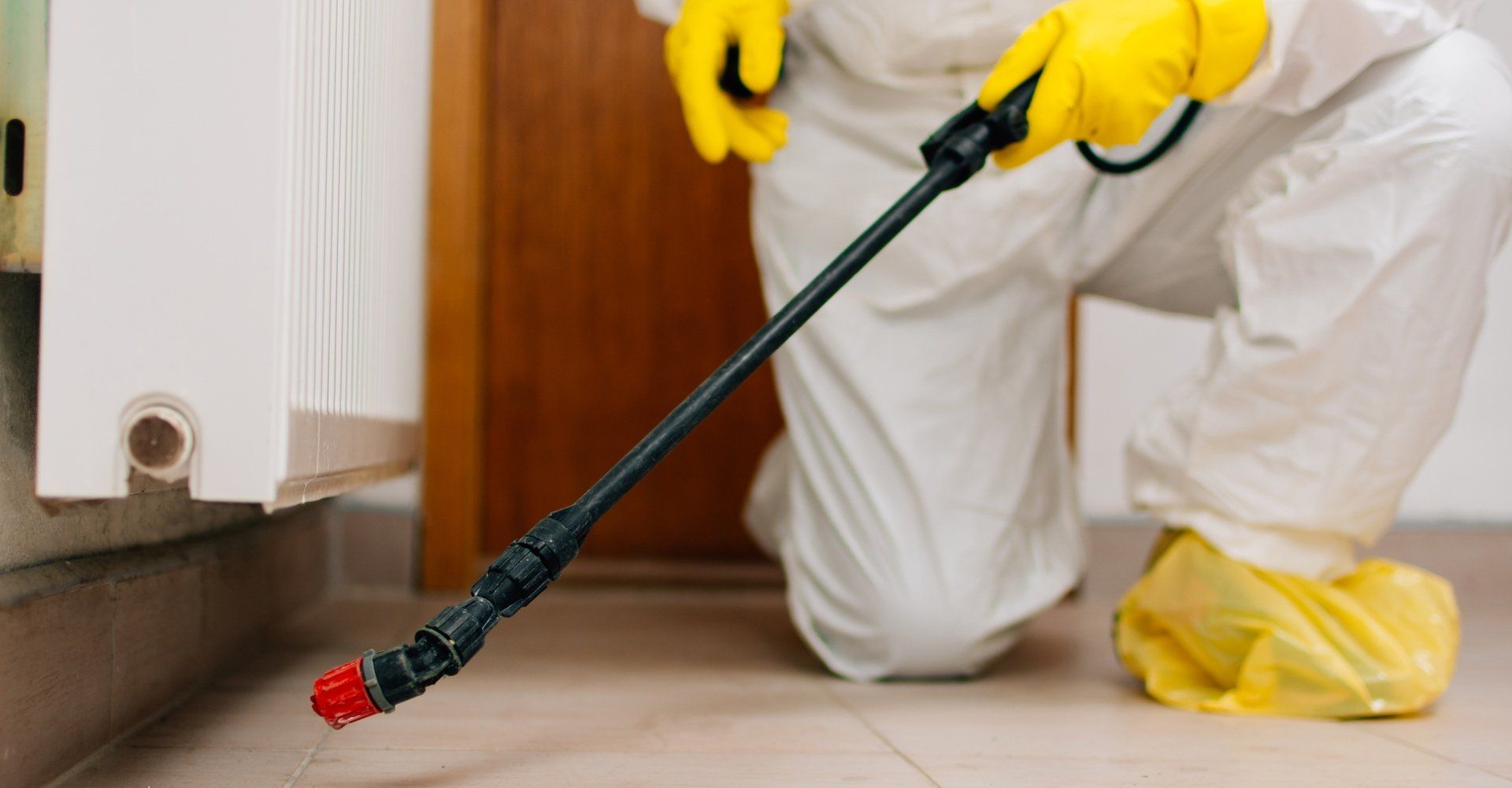 Disinfestazione